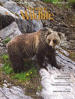 Wyoming Wildlife Magazine Cover